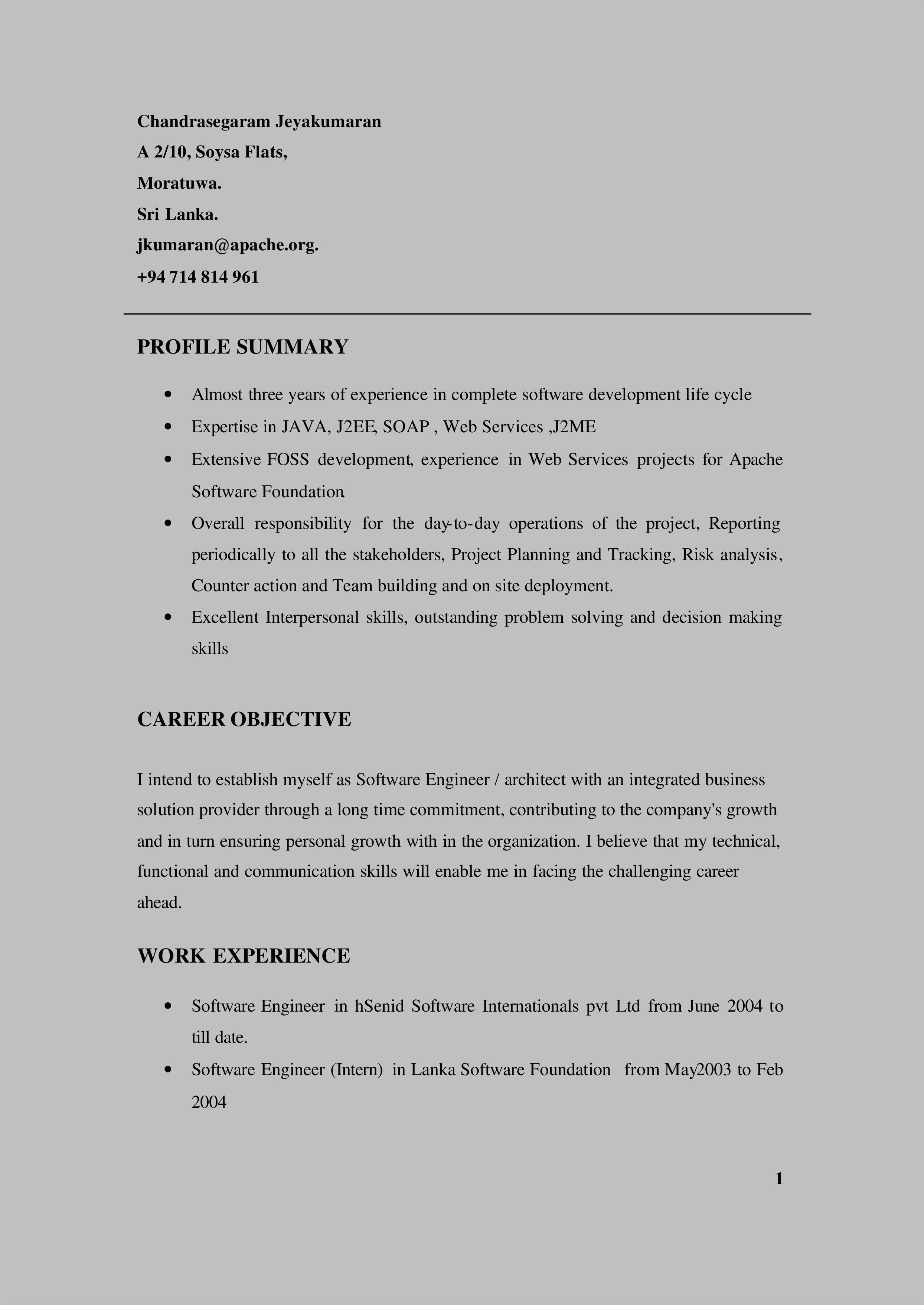 Resume Professional Experience And Additonal Experience