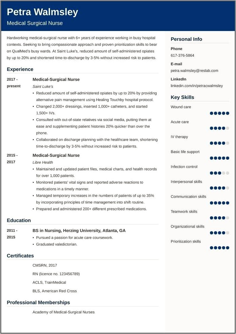 Resume Professional Proflie Summary Of Medical Surgical