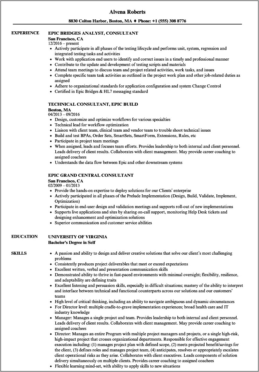 Resume Professional Summary For Epic Team Lead