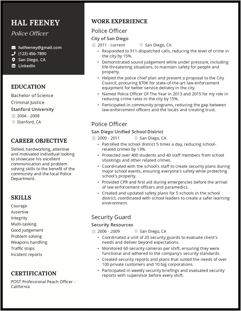 Resume Professional Summary For Police Officer