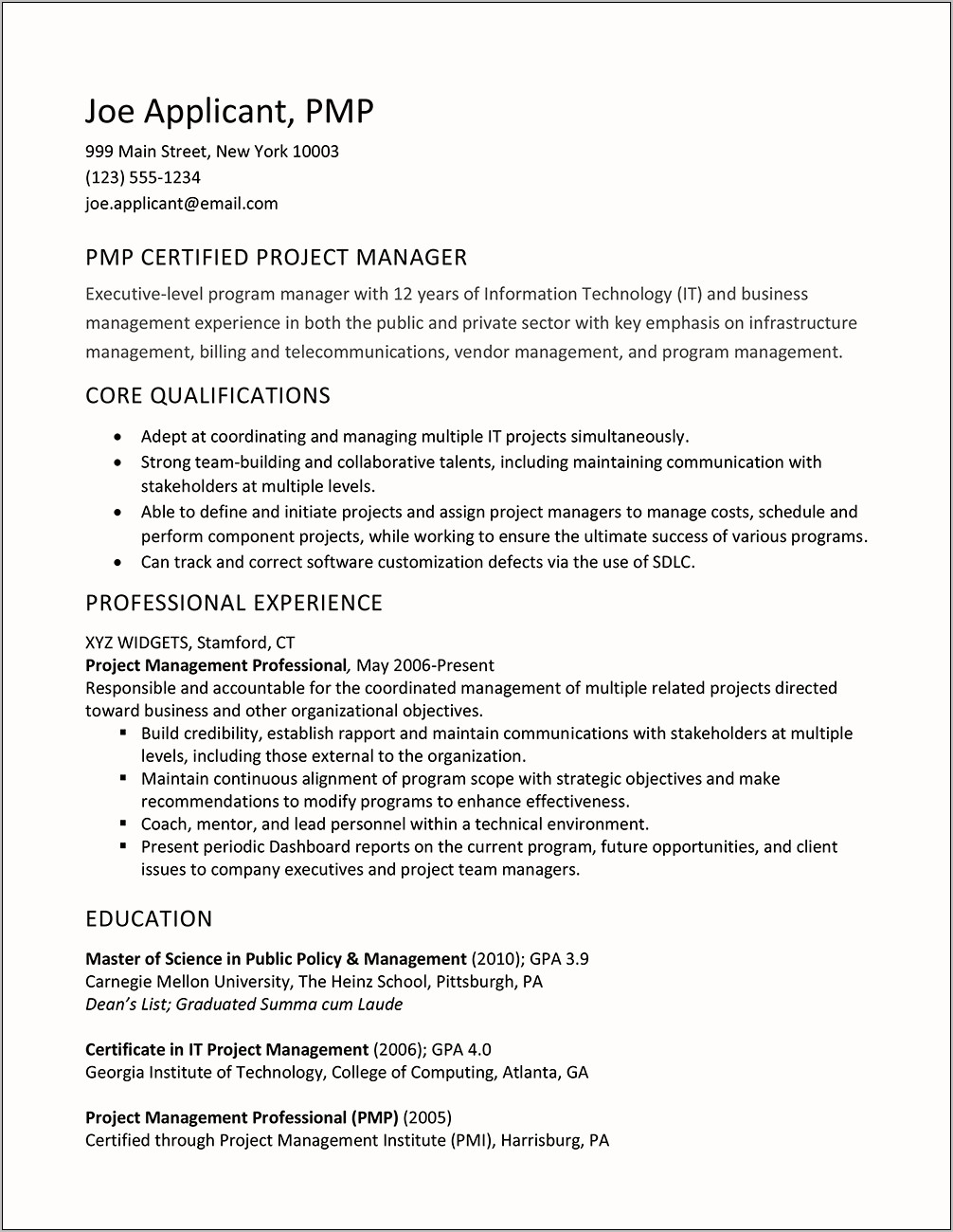Resume Profile Statement Project Manager
