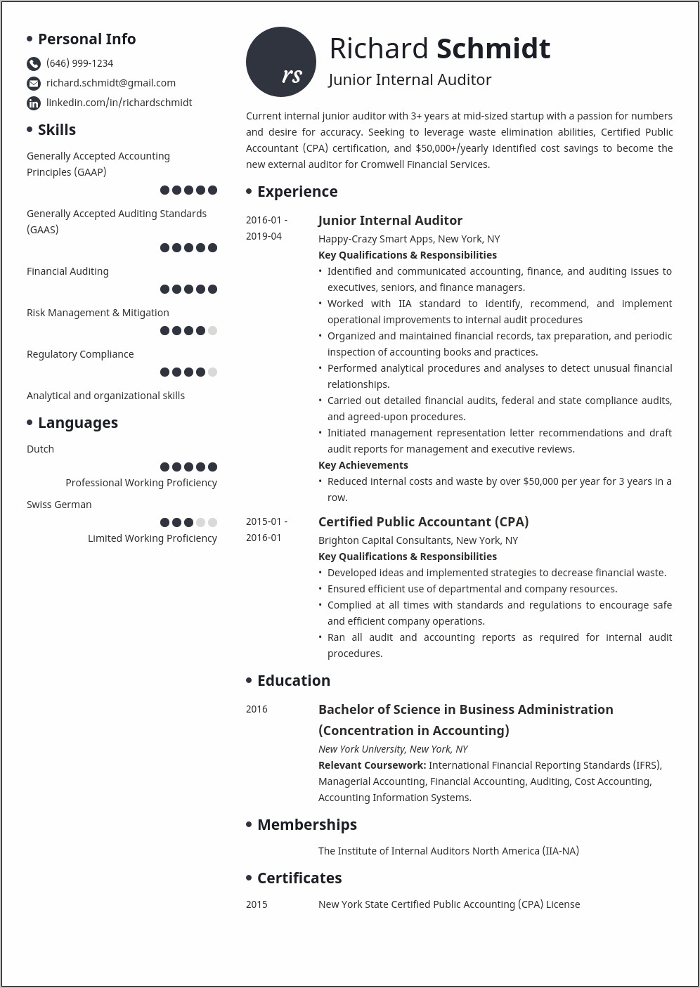 Resume Sample Assist With Audit Sample