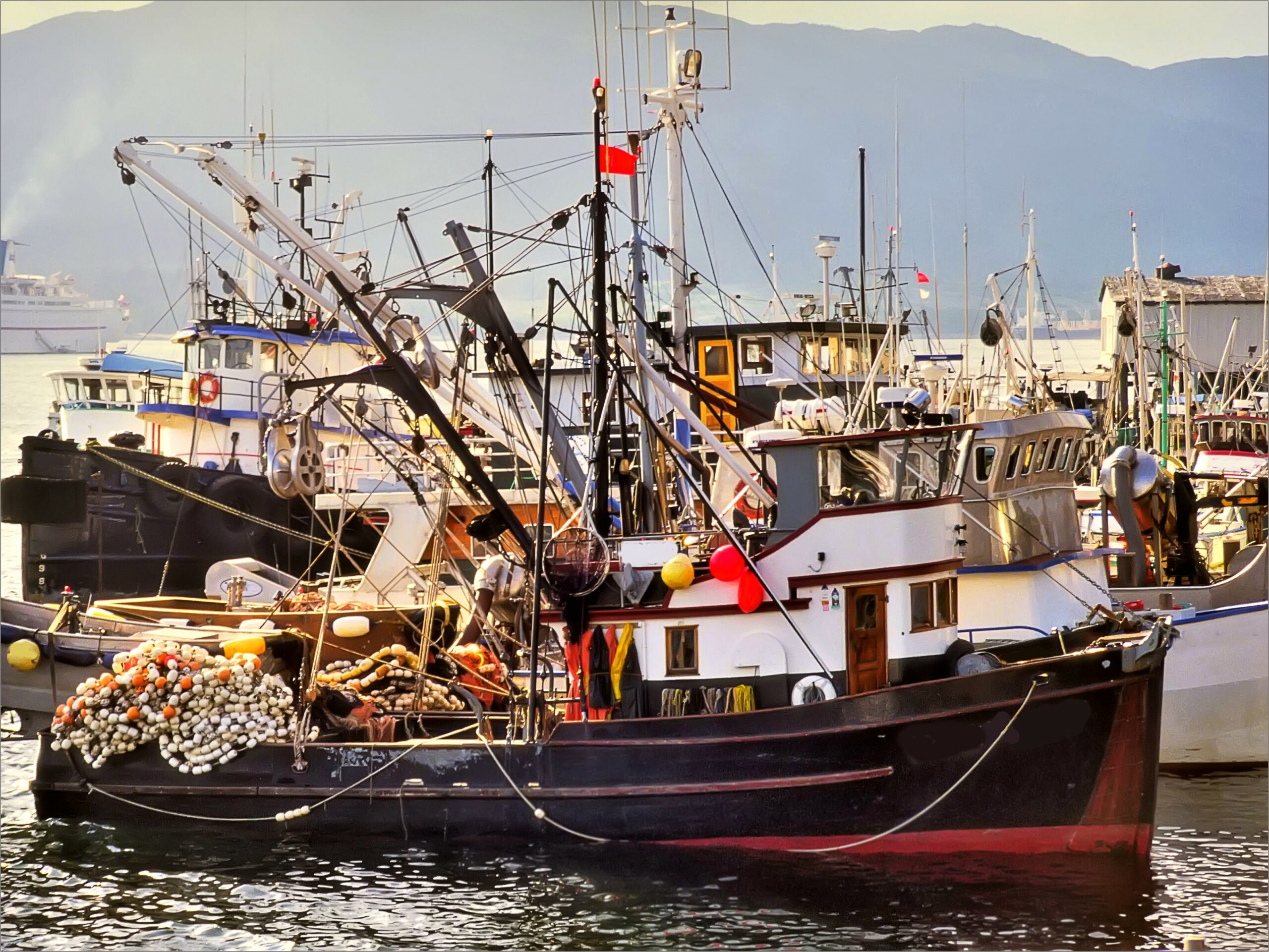Resume Sample For Commercial Salmon Fisherman