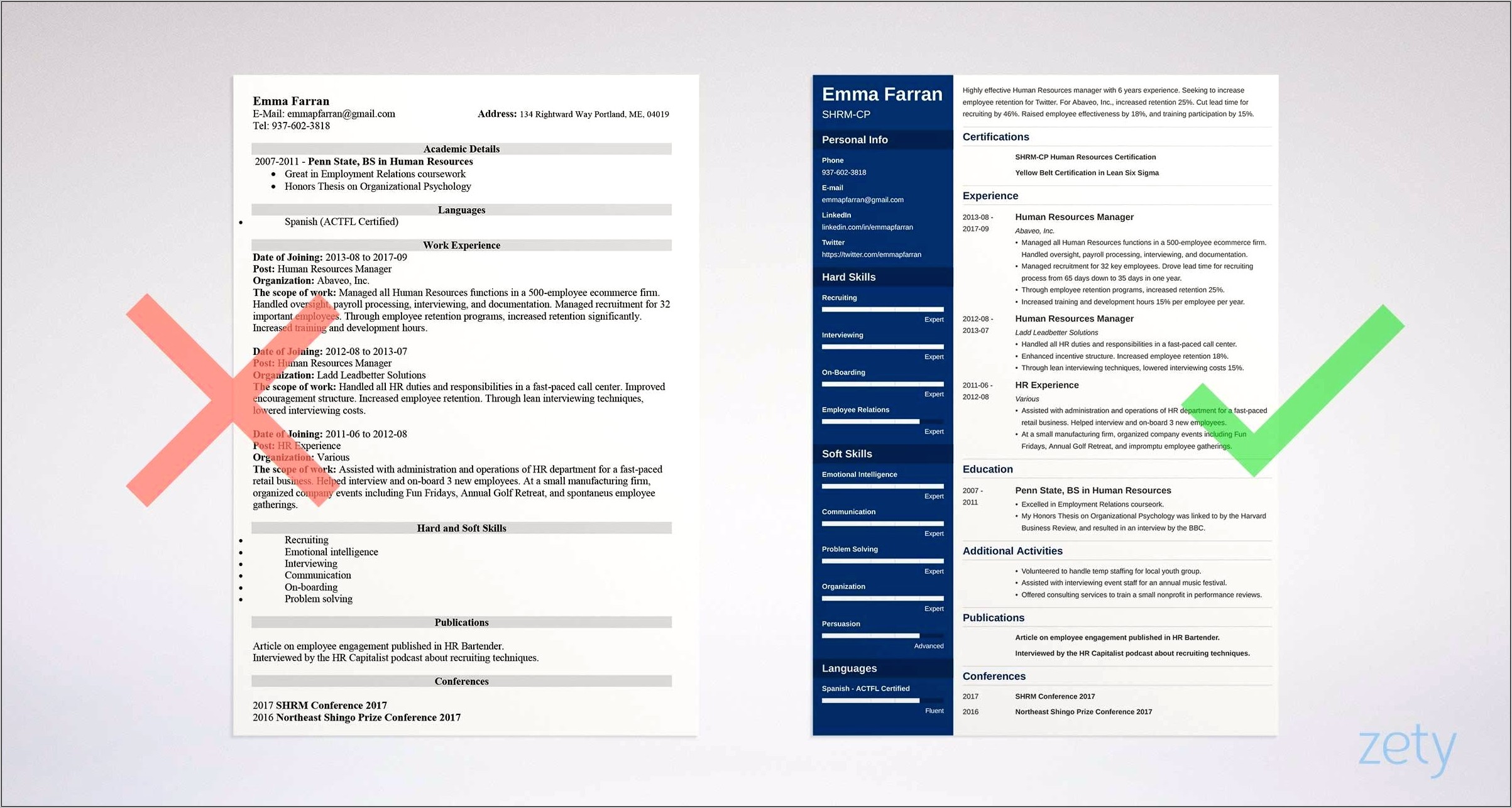 Resume Sample For Job Placement Specialist