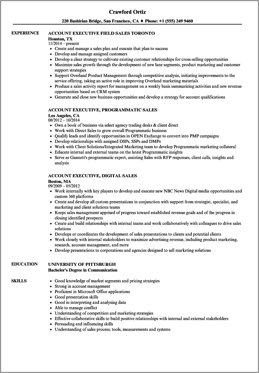 Resume Samples For Account Executive In Sales