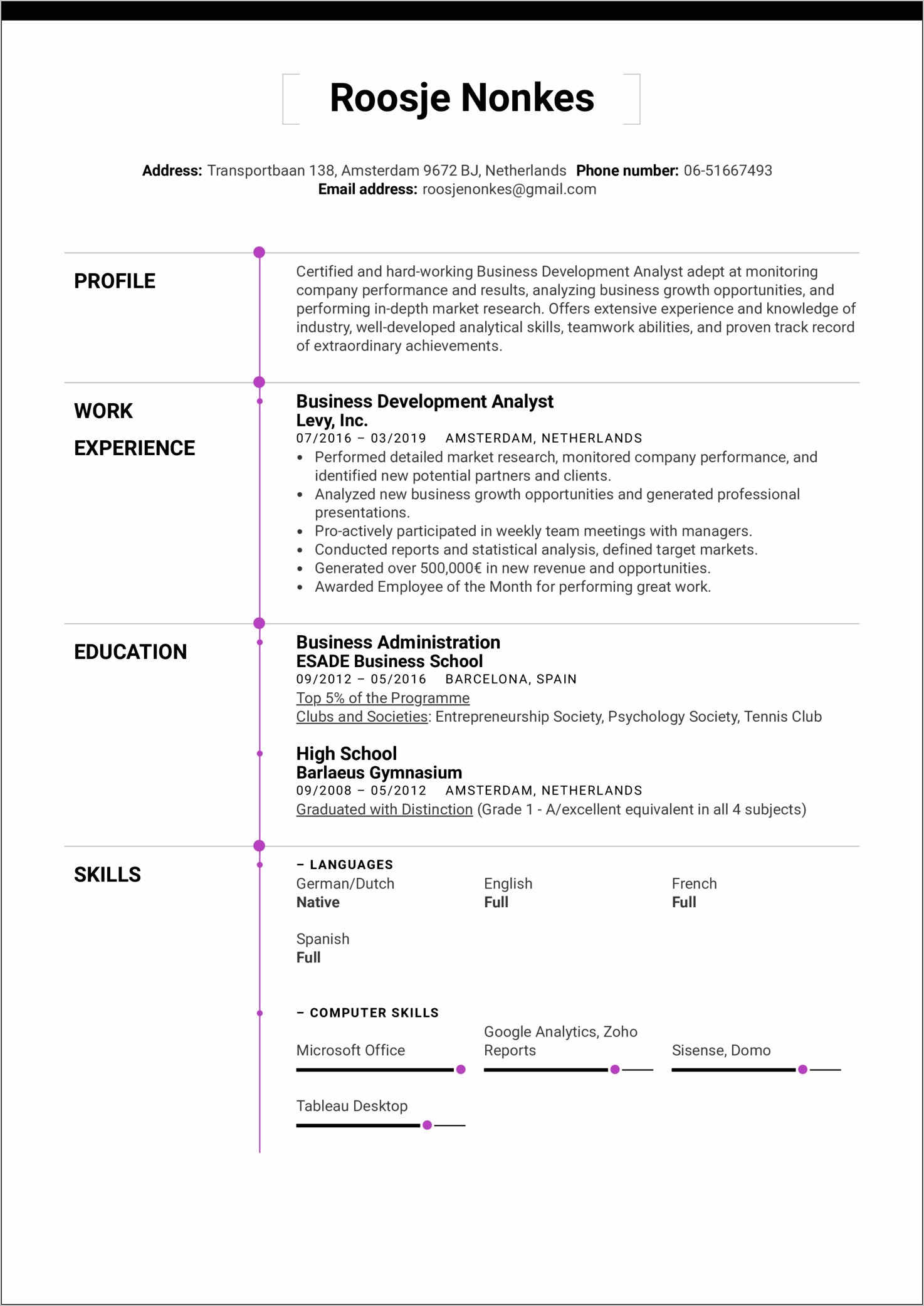 Resume Summary Example Functional Analyst