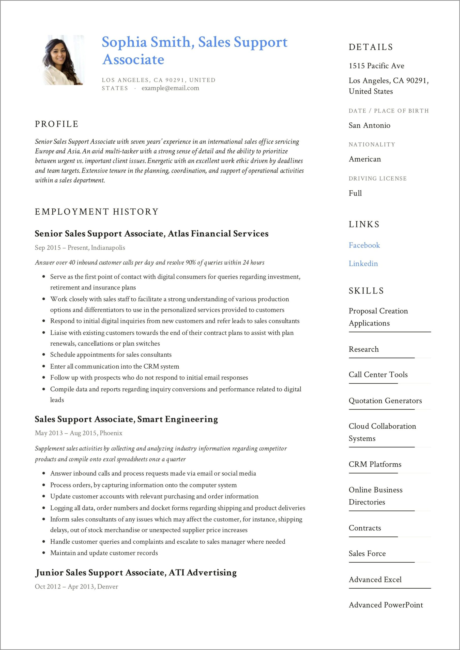 Resume Summary Examples Sales Support