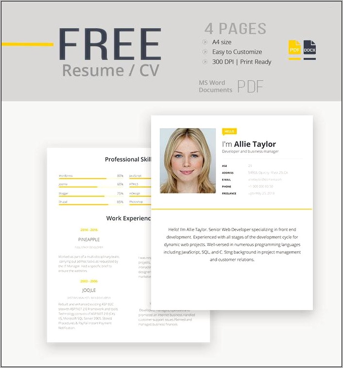 Resume Template Docx Free Download