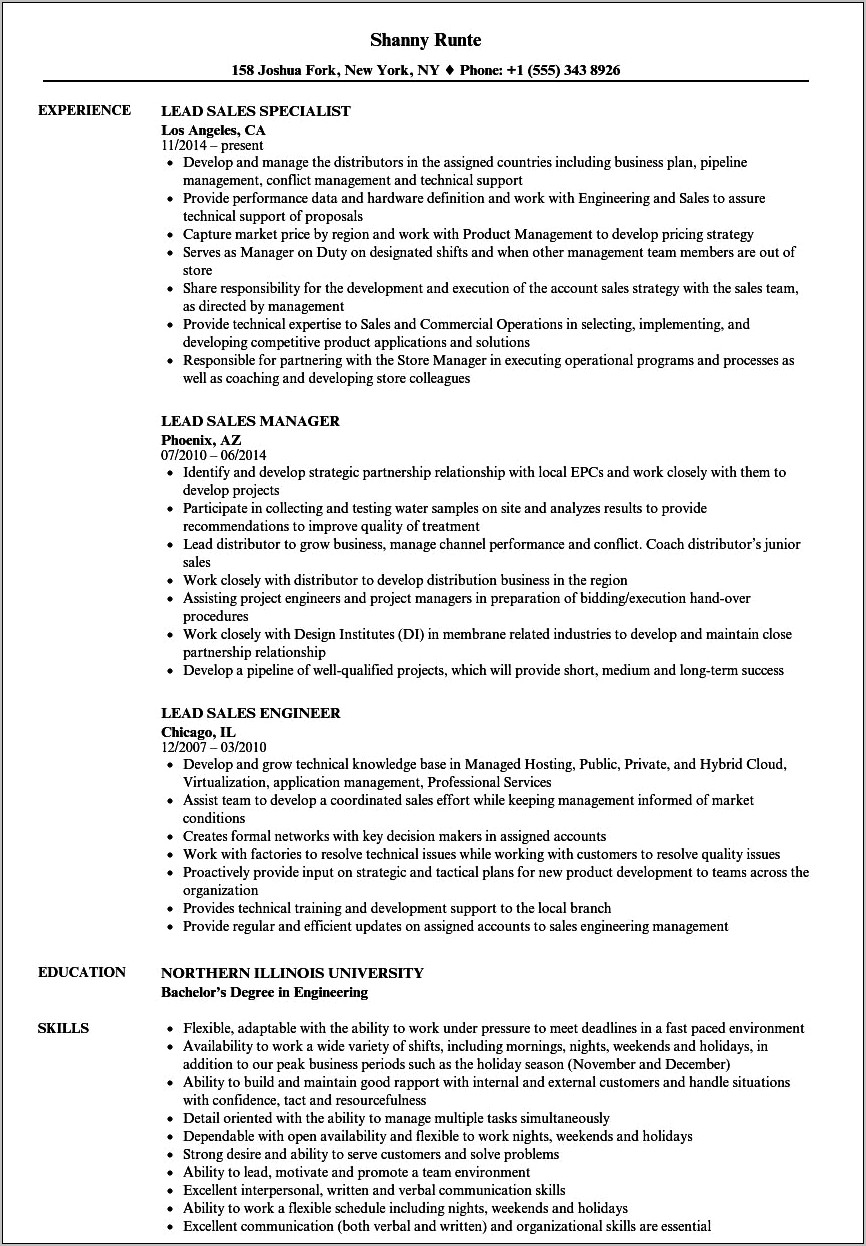 Sales Lead Objective For Resume