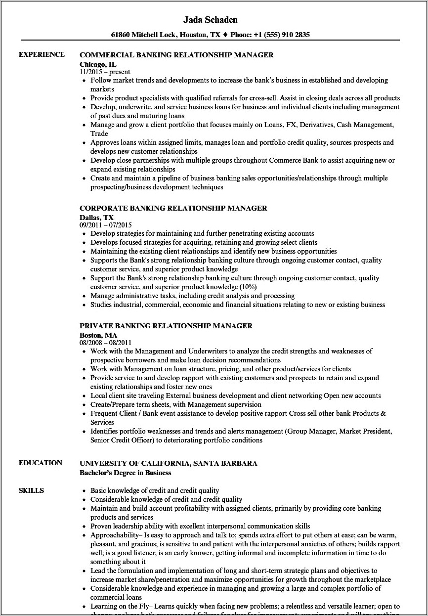Sales Manager Resume In Banking