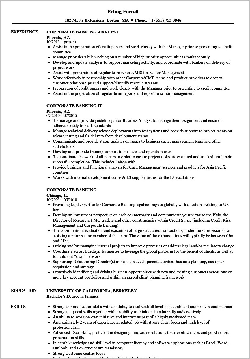 Sample Resume For Experienced Banker