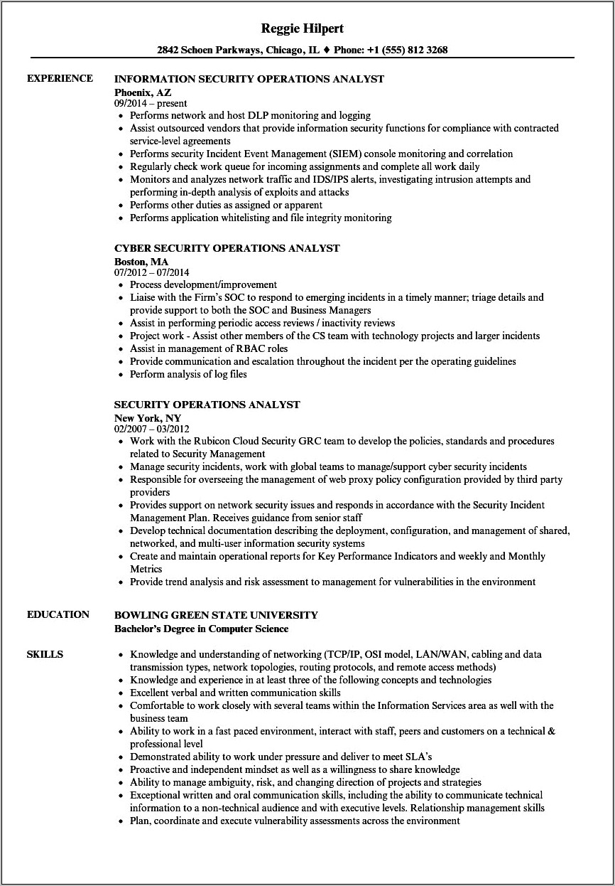 Sample Resume For Operation Analyst