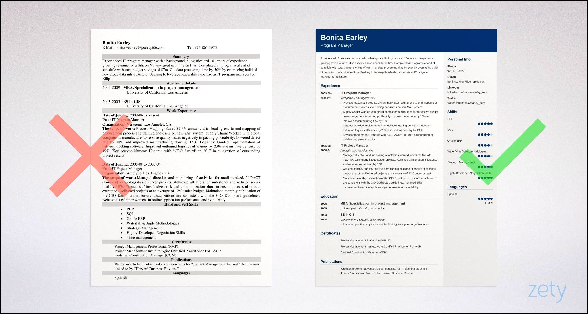 Sap Project Manager Resume Template