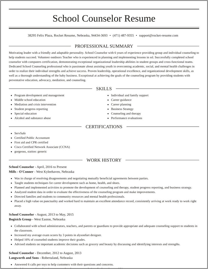 School Guidance Counselor Resume Example