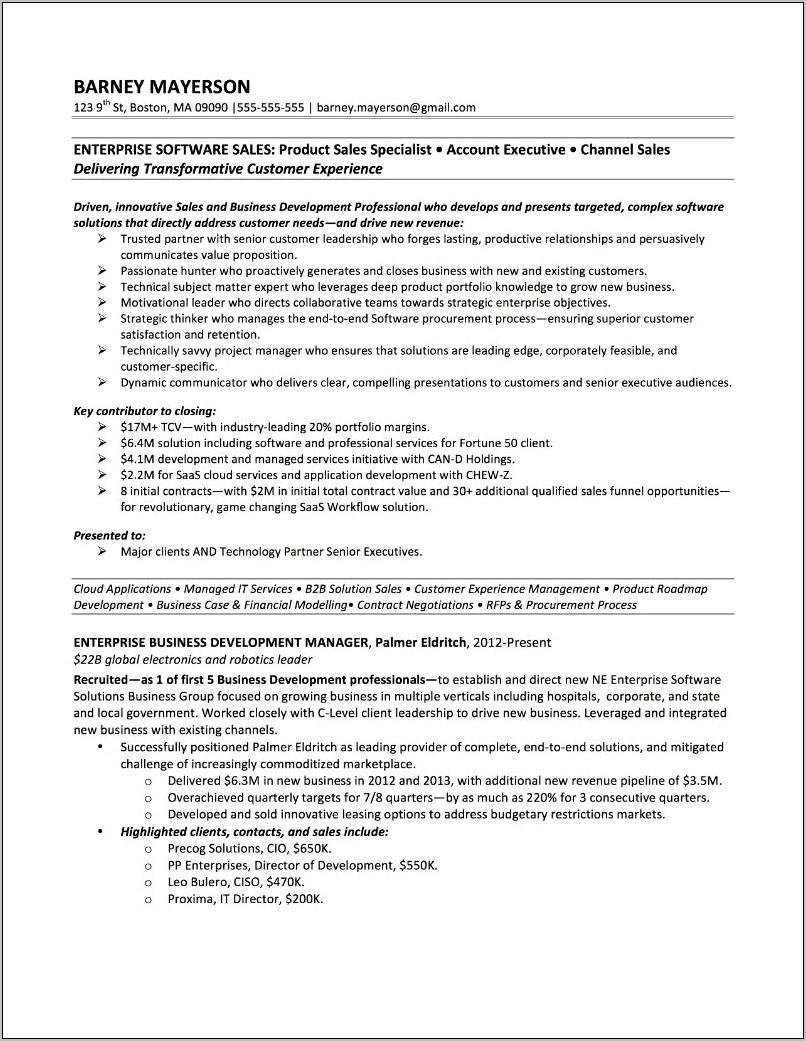 Software Account Manager Resume Example