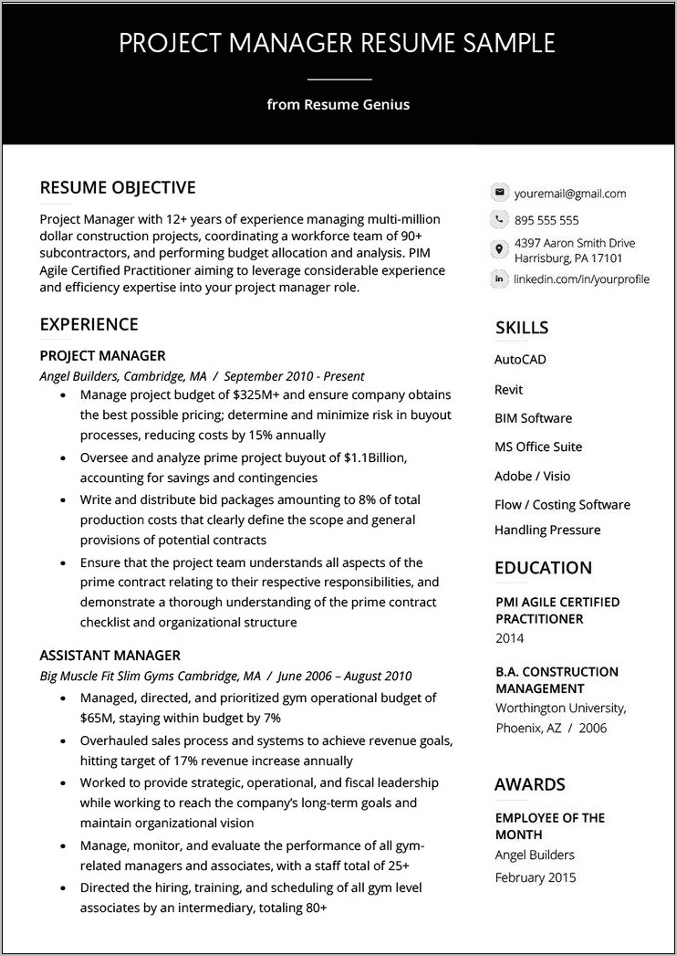 Software Project Manager Job Resume