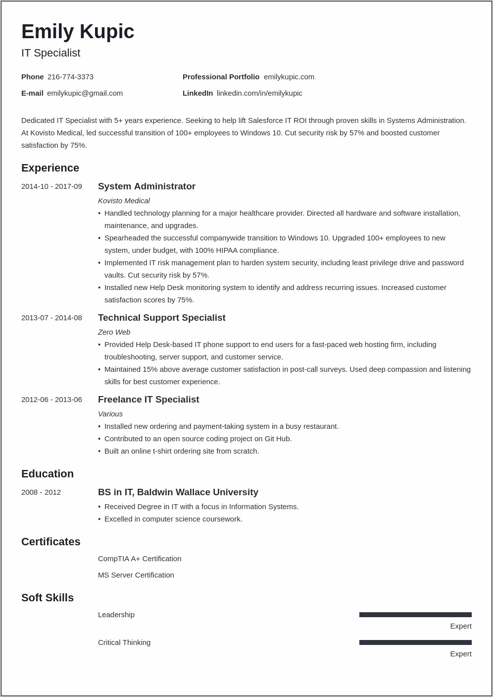 Technical Experience Resume Publication Skills