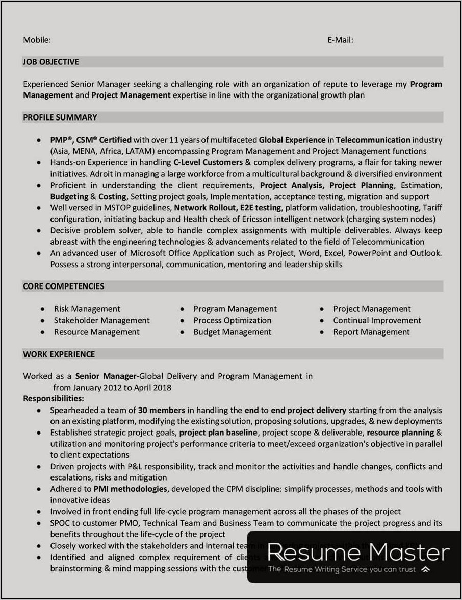 Telecom Project Manager Resume Examples