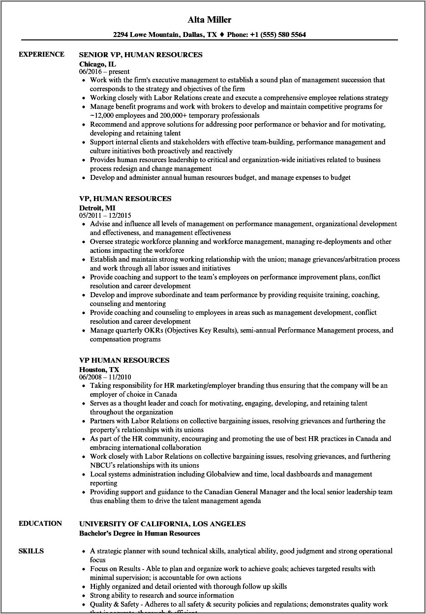 Vp Human Resources Resume Examples