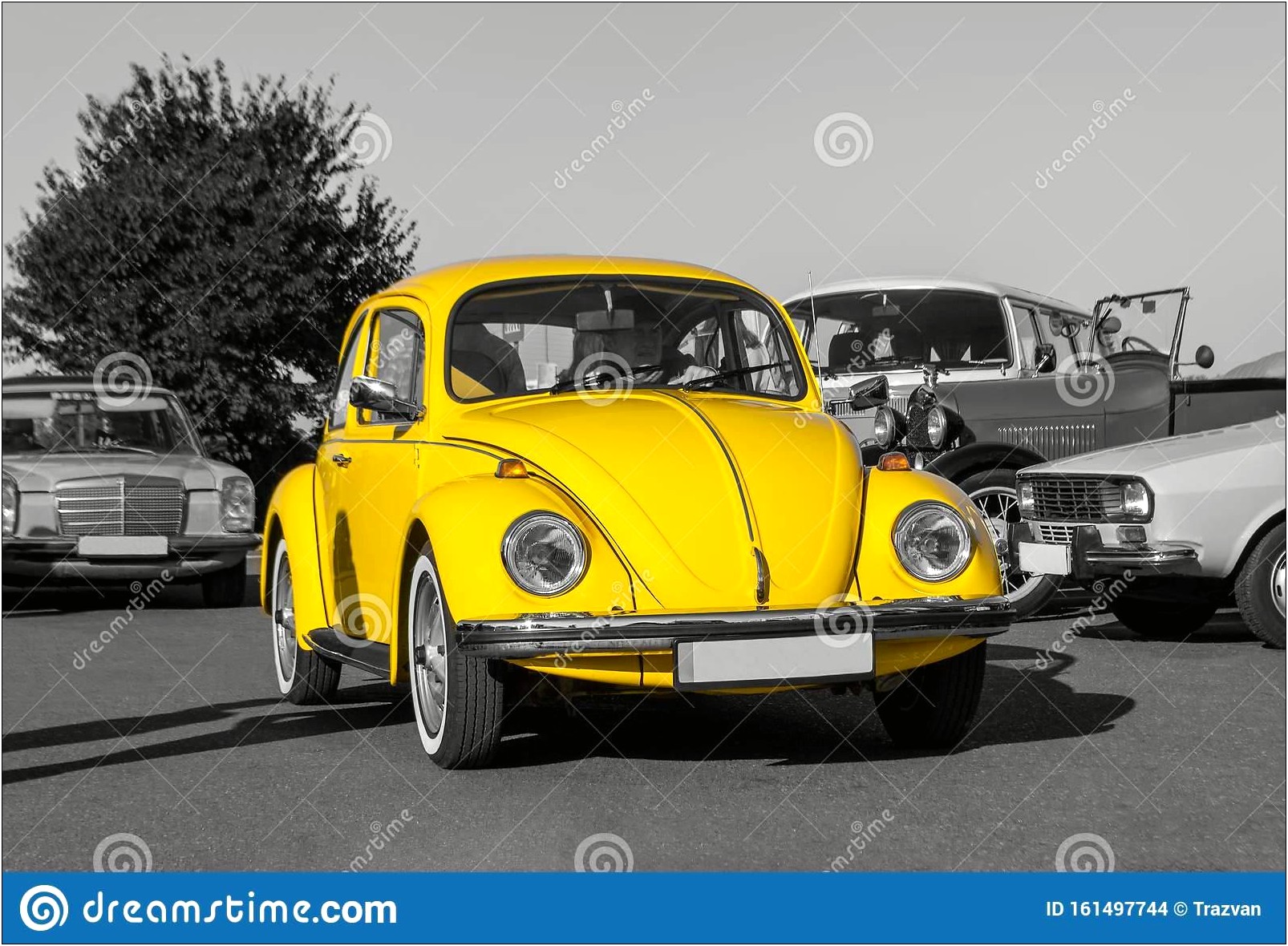 1969 Vw Beetle Free Vehicle Template