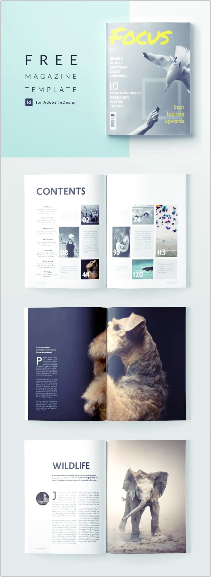 Adobe Indesign Magazine Template Free Download