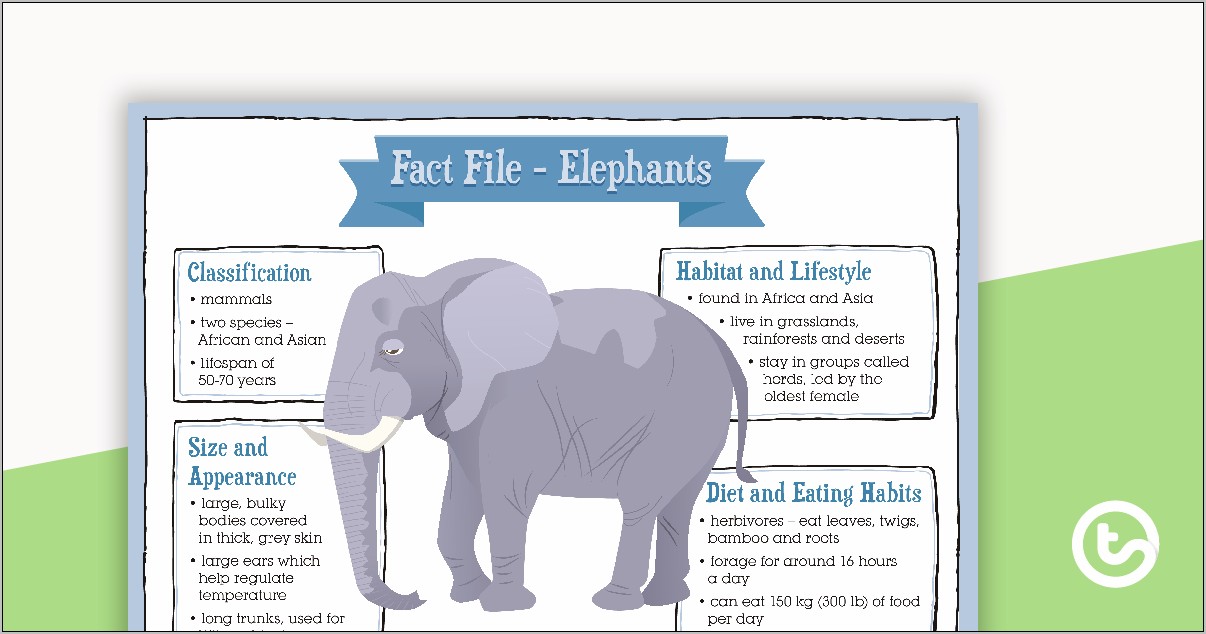 Animal Fact File Template Free Printable