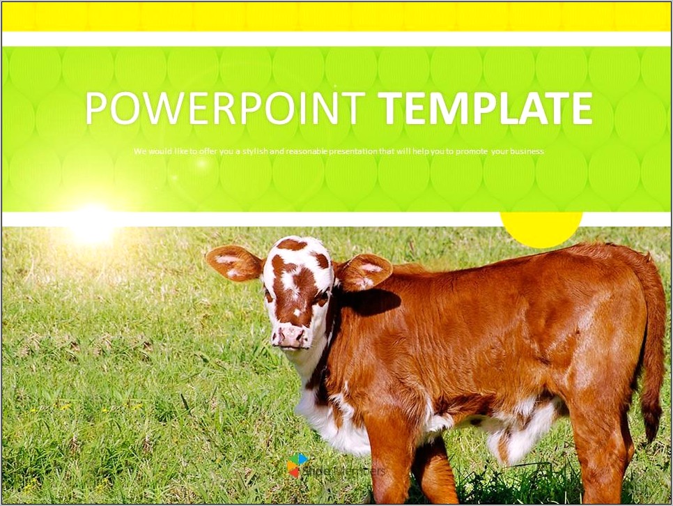 Animal Husbandry Ppt Template Free Download