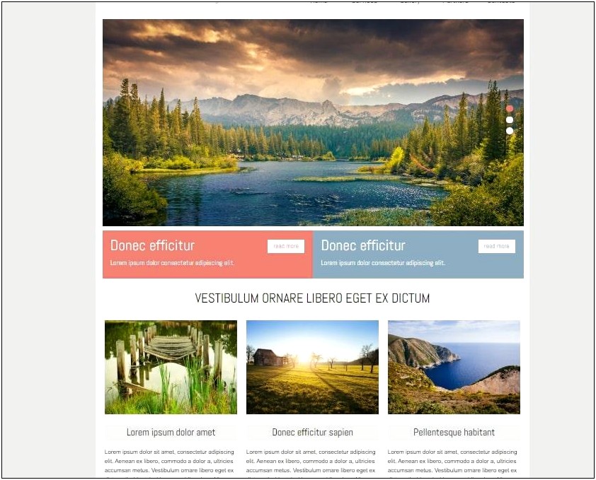 Best Adobe Muse Responsive Templates Free