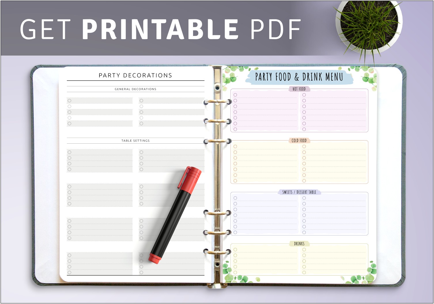 Birthday Party Planner Template Free Excel