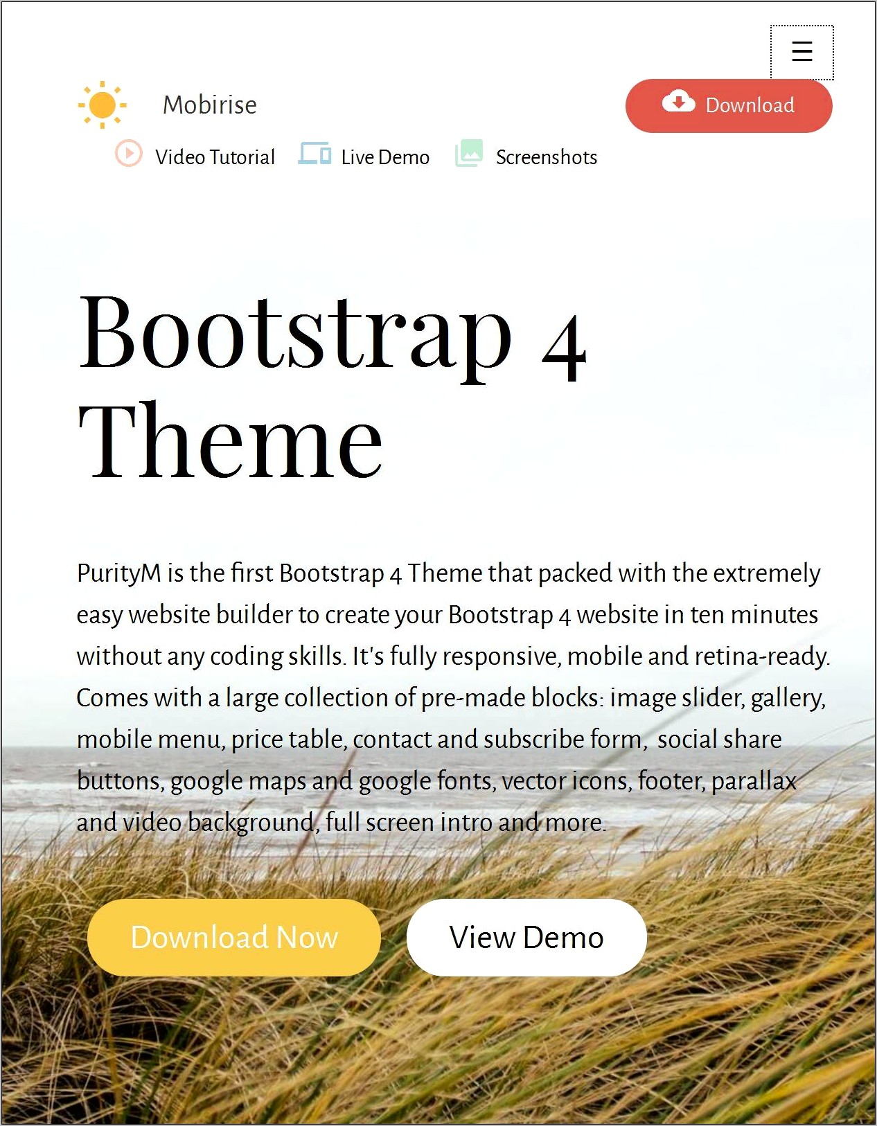 Bootstrap 4 Blog Template Free Download