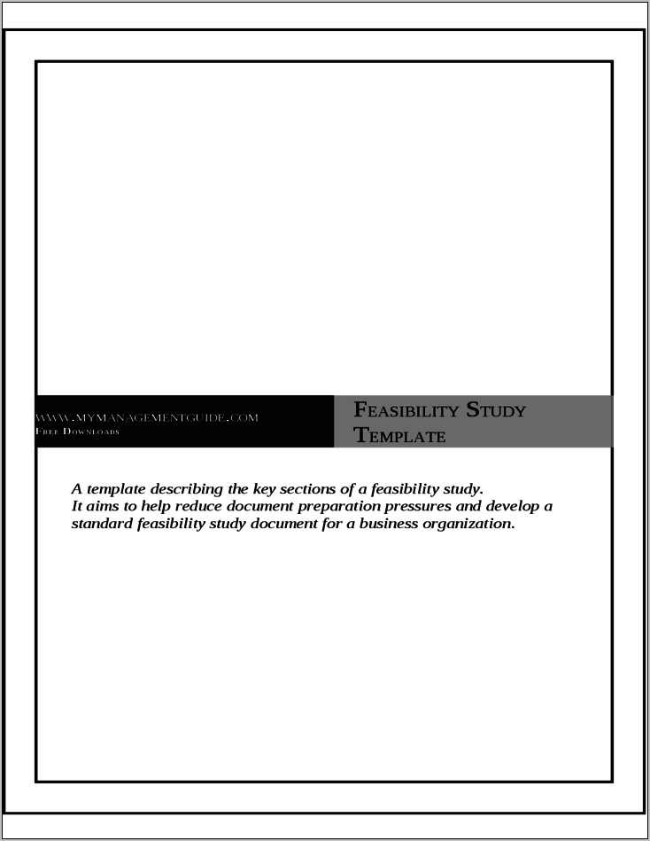 Business Feasibility Study Template Free Download