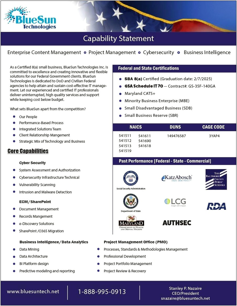 Capability Statement Template Word Document Free