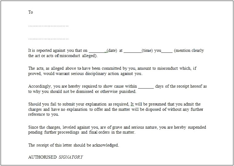 Employee Warning Letter Template Free Download