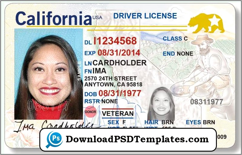 Florida Drivers License Template Free Download