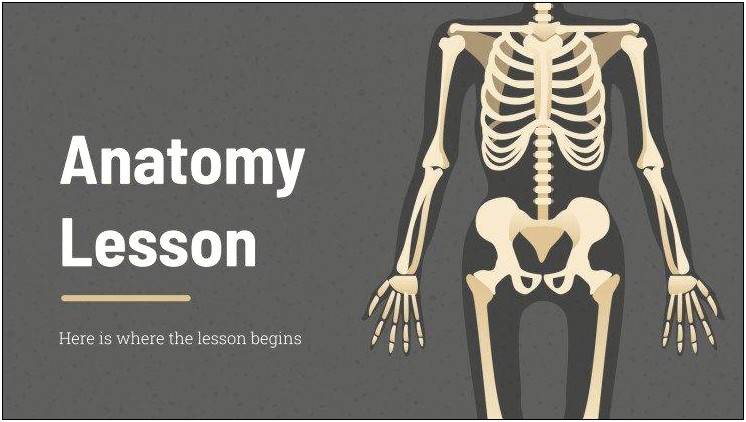 Free Anatomy And Physiology Powerpoint Templates