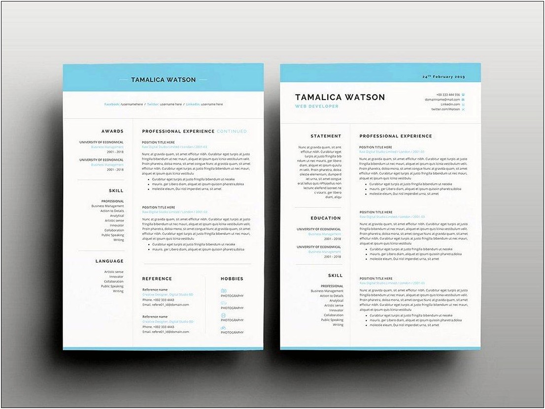 Free Cv Template For It Professional