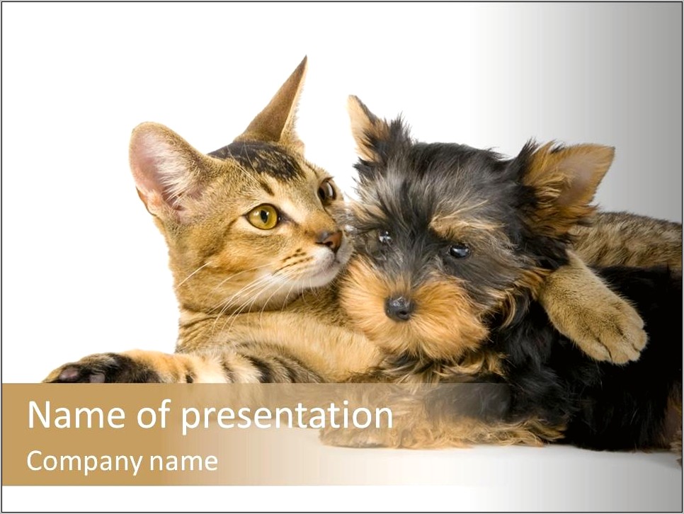 Free Dog And Cat Powerpoint Template