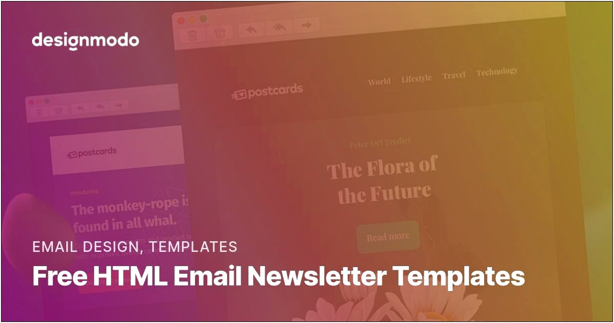 Free Html Email Templates For Gmail