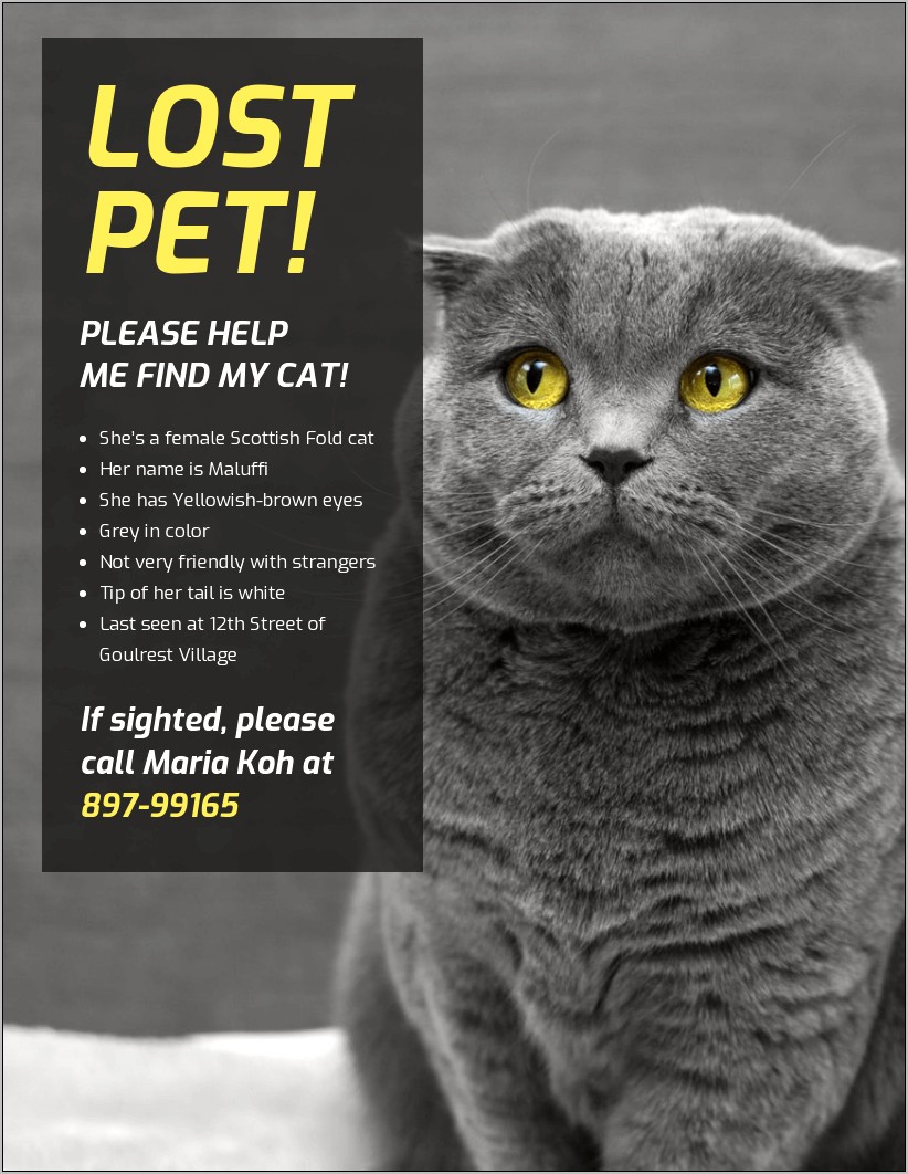 Free Missing Cat Poster Template Uk