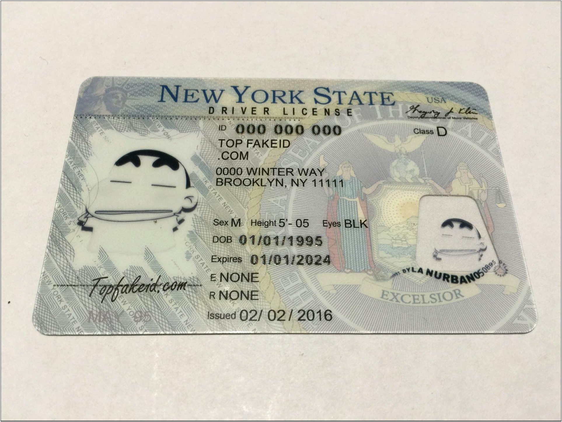 Free New York Drivers License Template