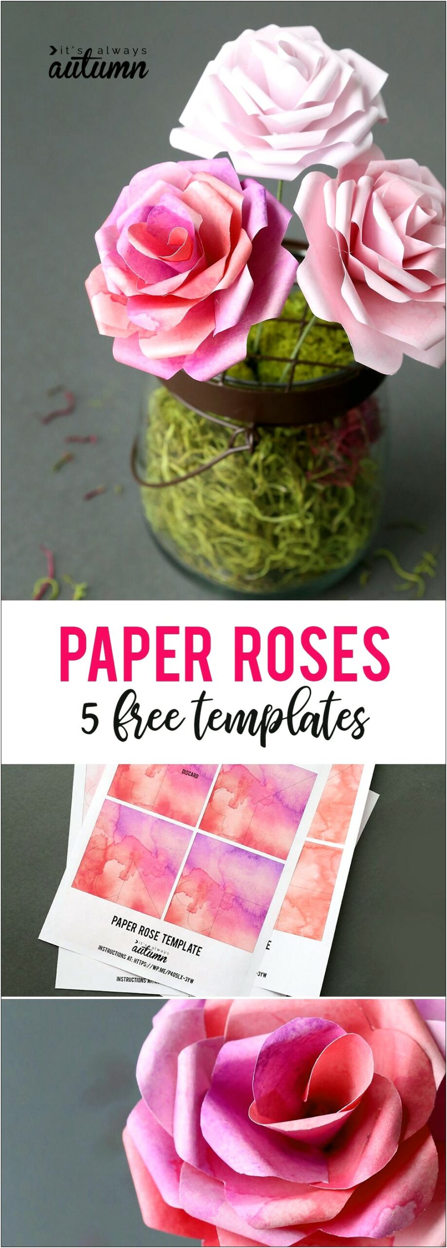 Free Paper Flower Templates And Instructions