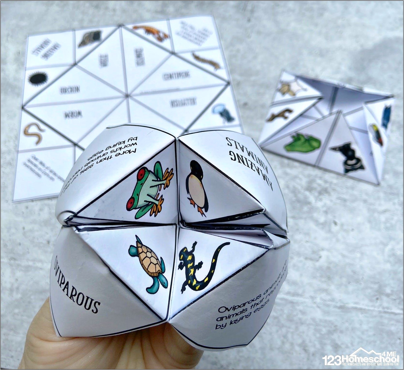 Free Printable Animal Cootie Catcher Template