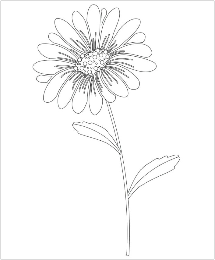 Free Printable Flower Templates For Kids