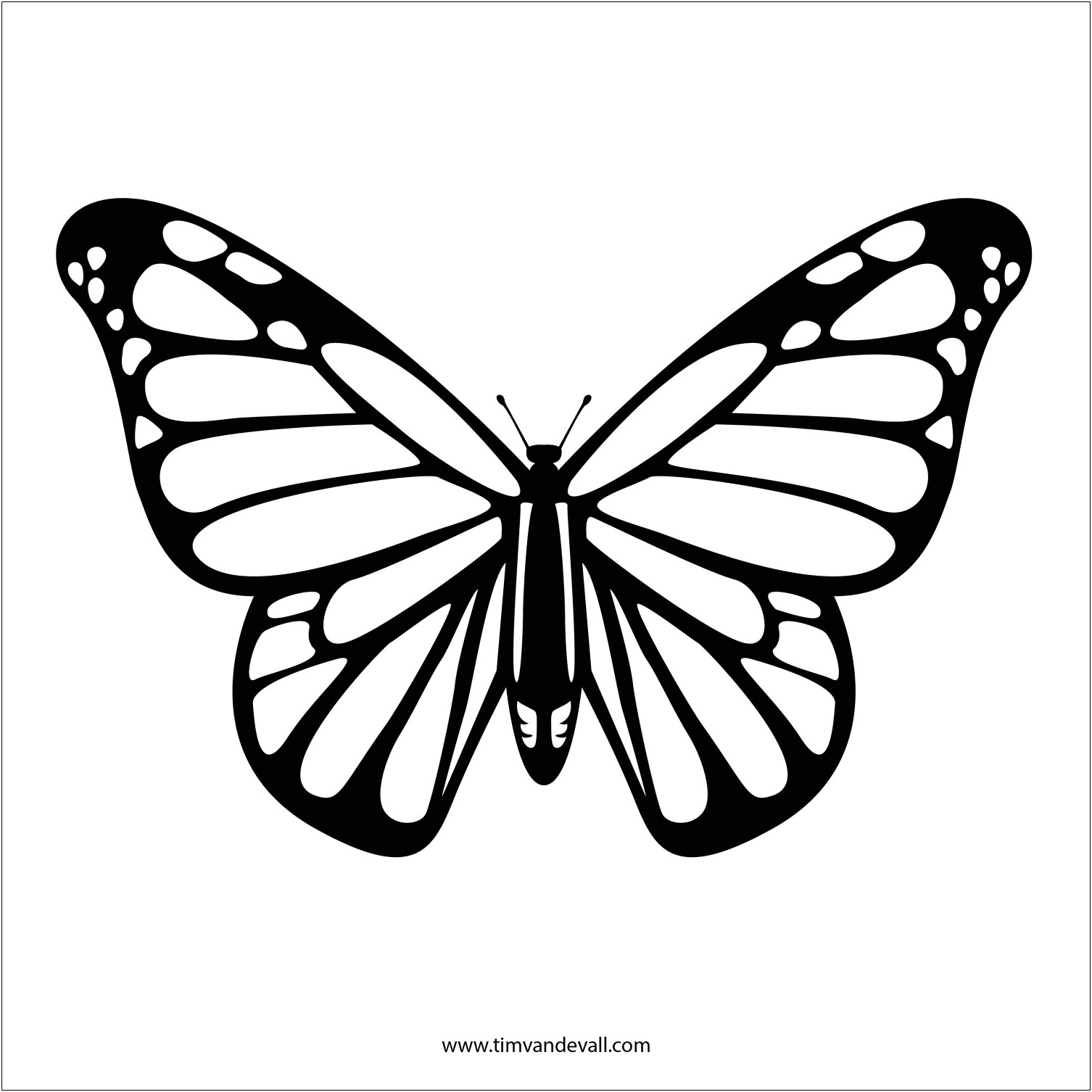 Large Butterfly Template To Print Free