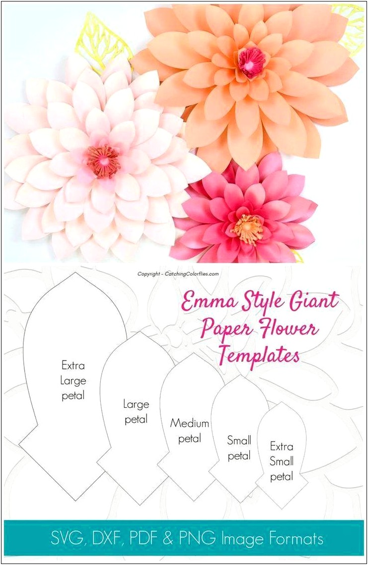 Large Paper Flower Template Svg Free