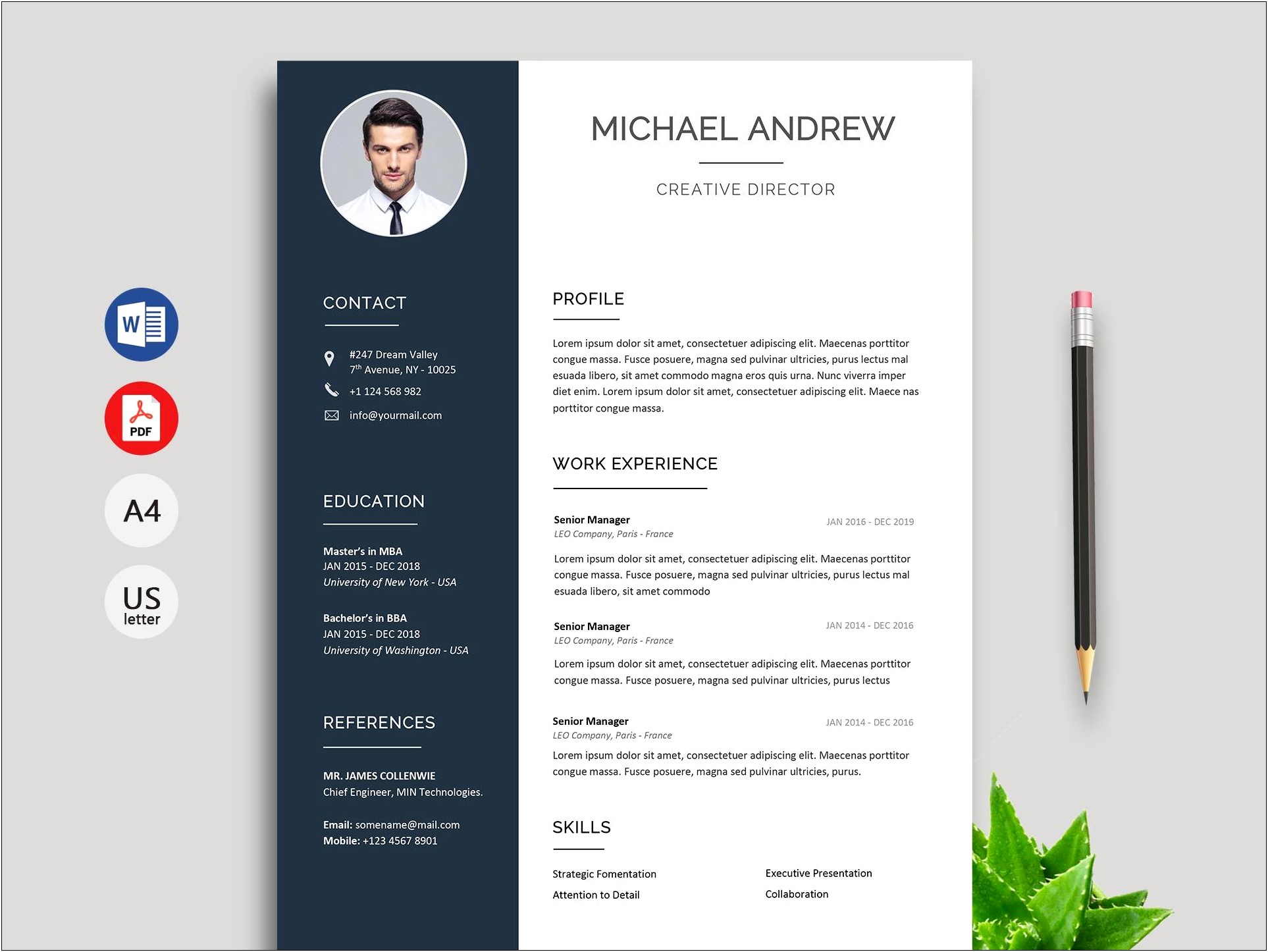 Latest Cv Format Template Free Download