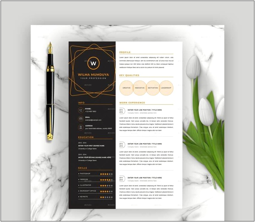 Latest Cv Template Word Free Download