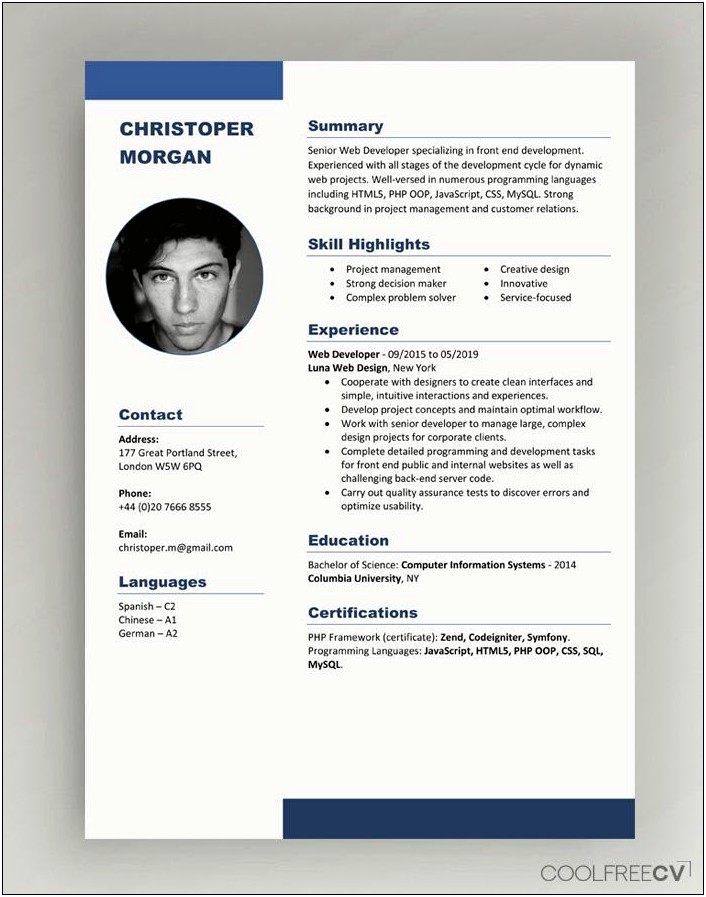 Professional Cv Template Doc Free Download