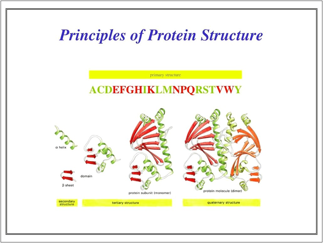 Protein Structure Powerpoint Templates Free Download