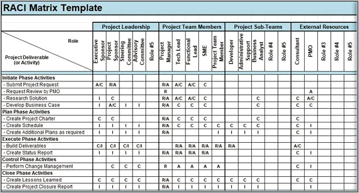Raci Chart Template Excel Download Free